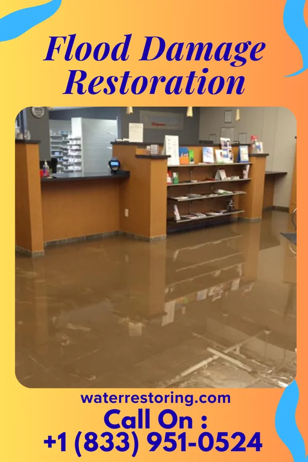 Flood Damage Restoration in Palacios, TX