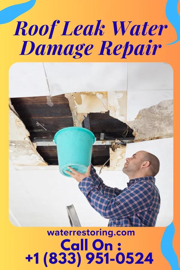 Roof Leak Water Damage Repair in Palacios, TX